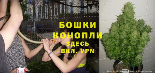 ешки Касимов