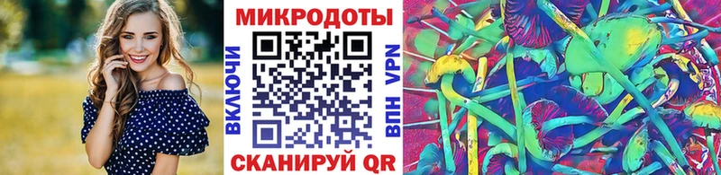 Псилоцибиновые грибы Psilocybe  Купить закладки  Дудинка 
